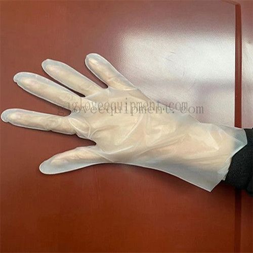 PVC Gloves